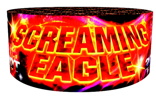Screaming Eagles 200 Shot