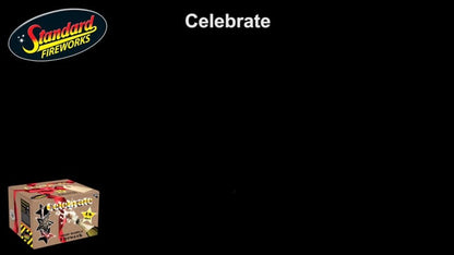 Celebrate Single Ignition Firework – 68 Shots