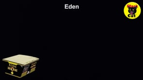 Eden Single Ignition Firework