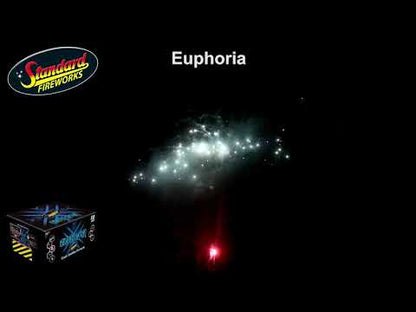 Euphoria Barrage 50 Shot by Standard Fireworks